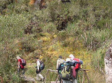 Inca Trail to Machupicchu 4 Days / 3 Nights